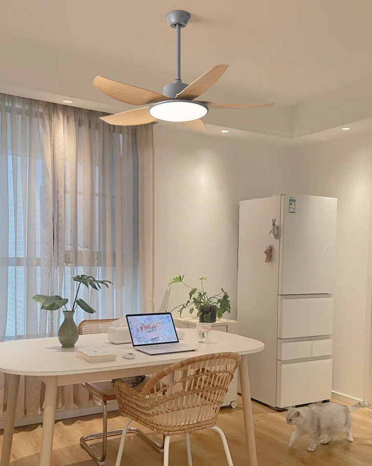 Ventilateur de Plafond Compact à Profil Bas-AeroLuna™