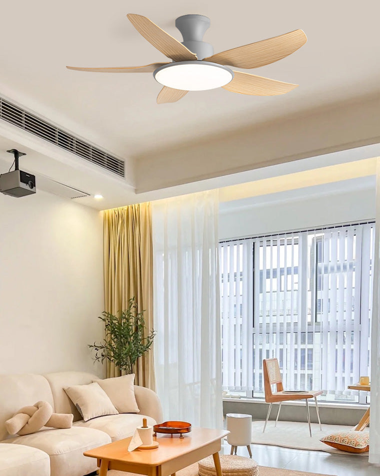 Ventilateur de Plafond Compact à Profil Bas-AeroLuna™