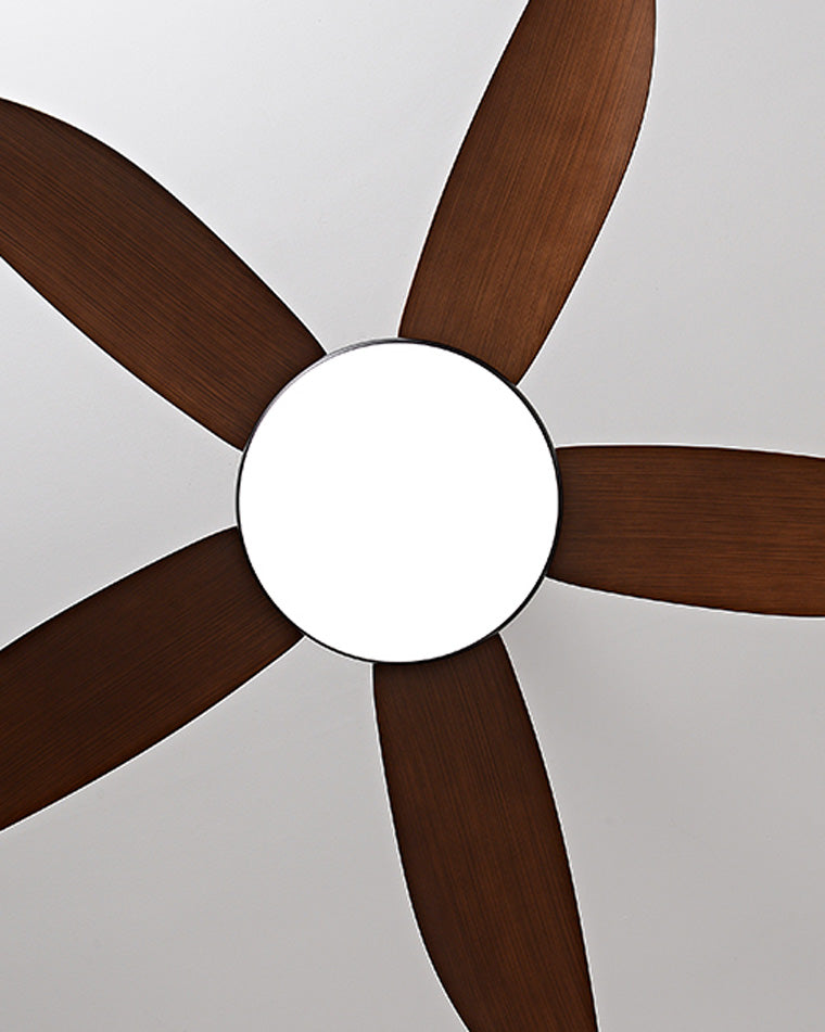 Ventilateur de Plafond Hélice XL