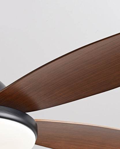 Ventilateur de Plafond Hélice XL