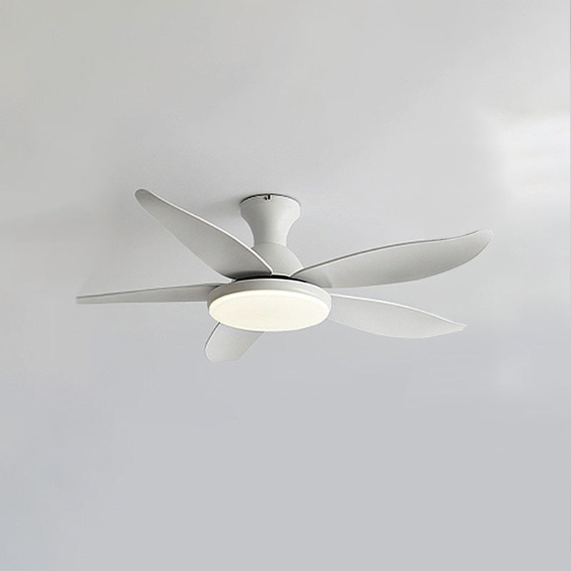 Ventilateur de Plafond Hélice XL