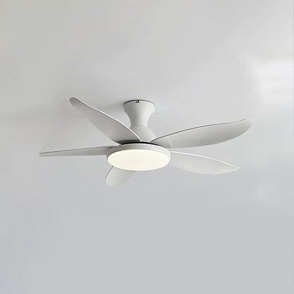 Ventilateur de Plafond Hélice XL