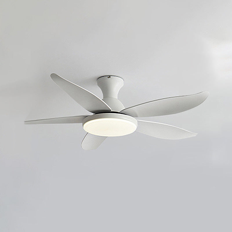 Ventilateur de Plafond Hélice XL