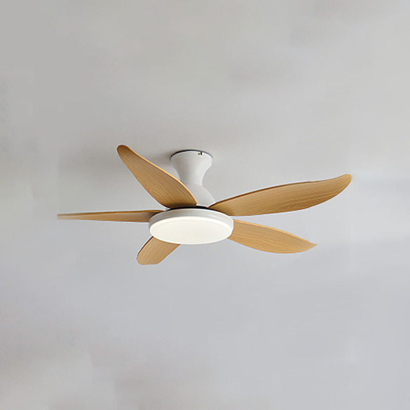 Ventilateur de Plafond Hélice XL