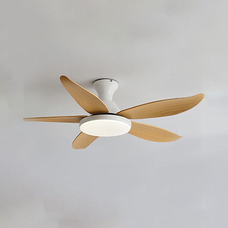 Ventilateur de Plafond Hélice XL