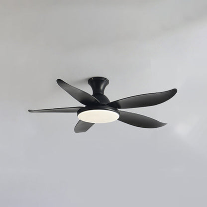Ventilateur de Plafond Hélice XL