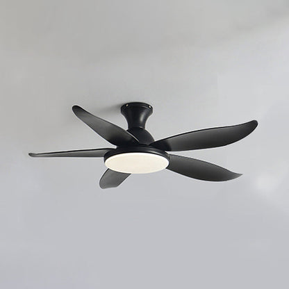 Ventilateur de Plafond Hélice XL