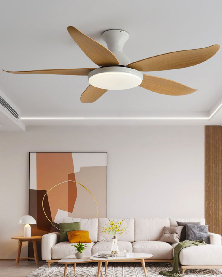 Ventilateur de Plafond Hélice XL
