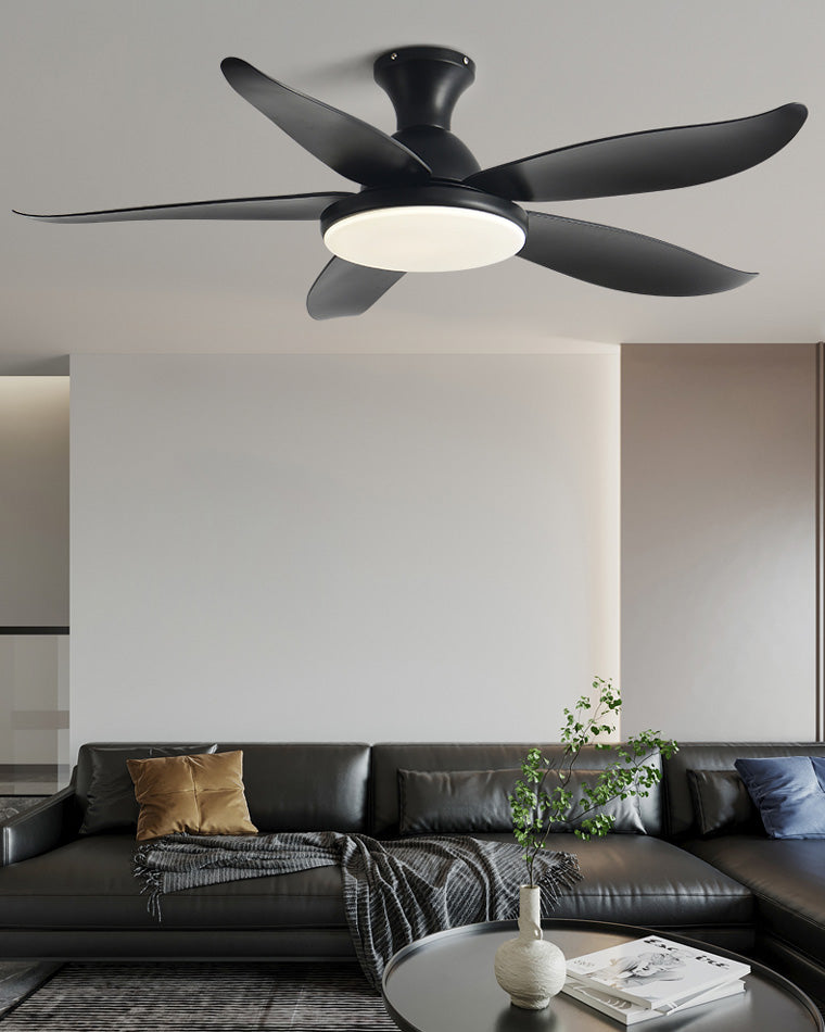 Ventilateur de Plafond Hélice XL