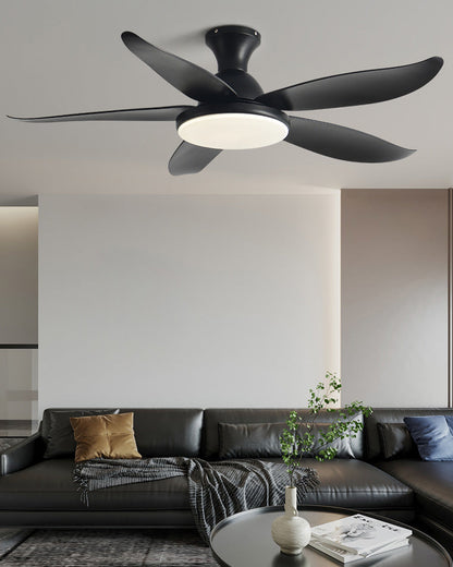 Ventilateur de Plafond Hélice XL