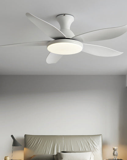 Ventilateur de Plafond Hélice XL
