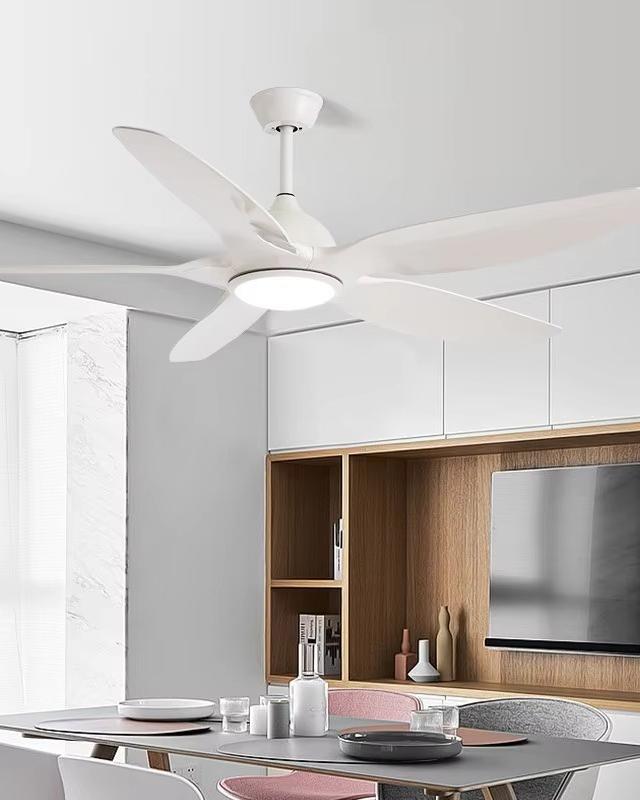 Ventilateur de Plafond Hélice XL