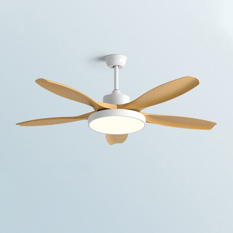 Ventilateur de Plafond Moderne à 5 Pales