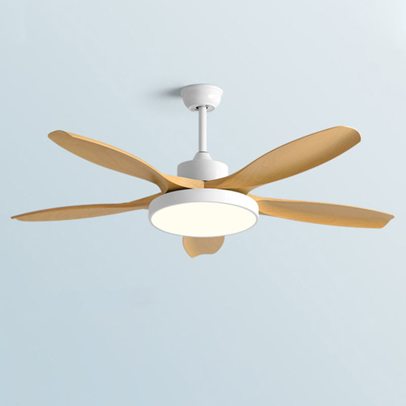 Ventilateur de Plafond Moderne à 5 Pales