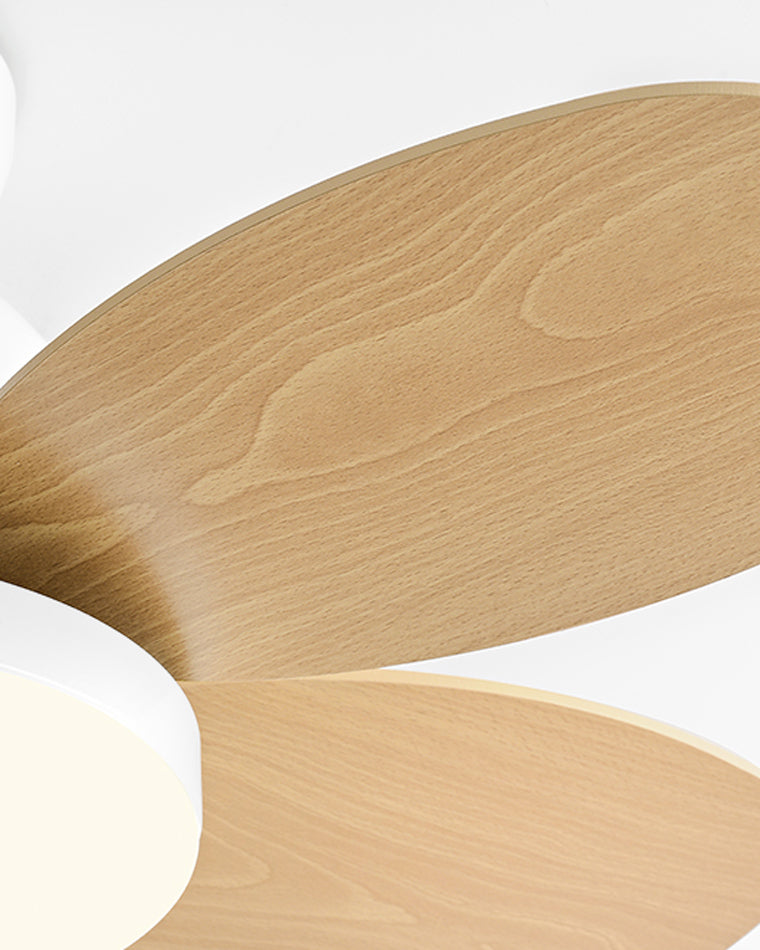 Ventilateur de Plafond - Nordik Kids