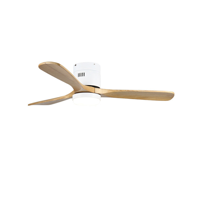Ventilateur de Plafond Zenline