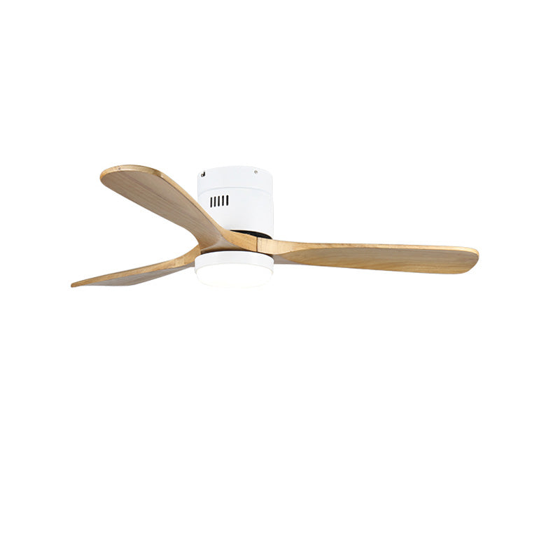 Ventilateur de Plafond Zenline