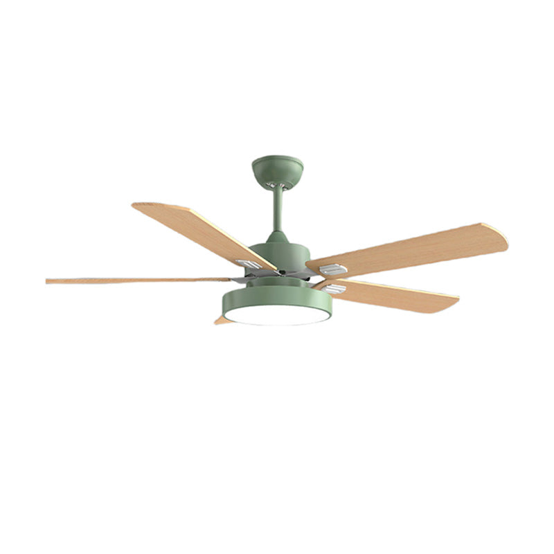 Ventilateur de plafond 5 pales en bois-Borealis™