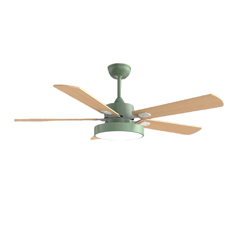 Ventilateur de plafond 5 pales en bois-Borealis™
