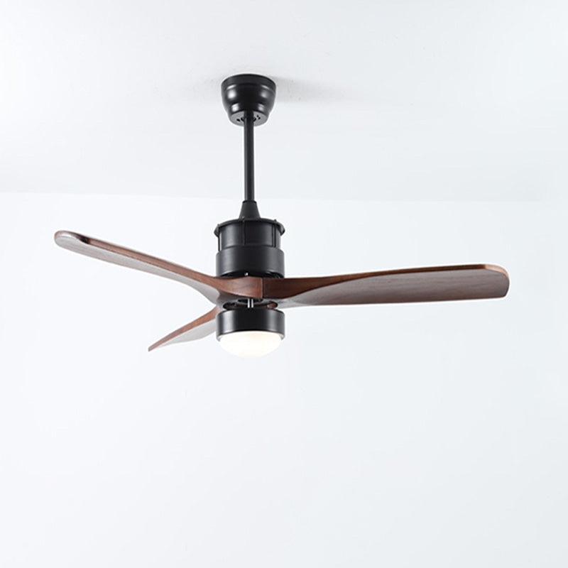 Ventilateur de plafond AeroNoir