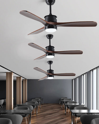 Ventilateur de plafond AeroNoir