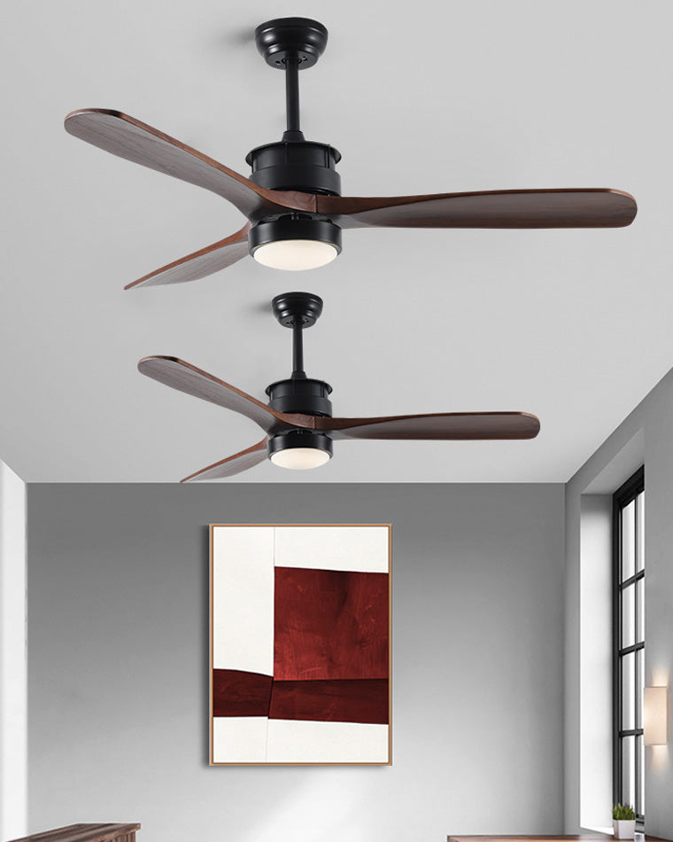 Ventilateur de plafond AeroNoir