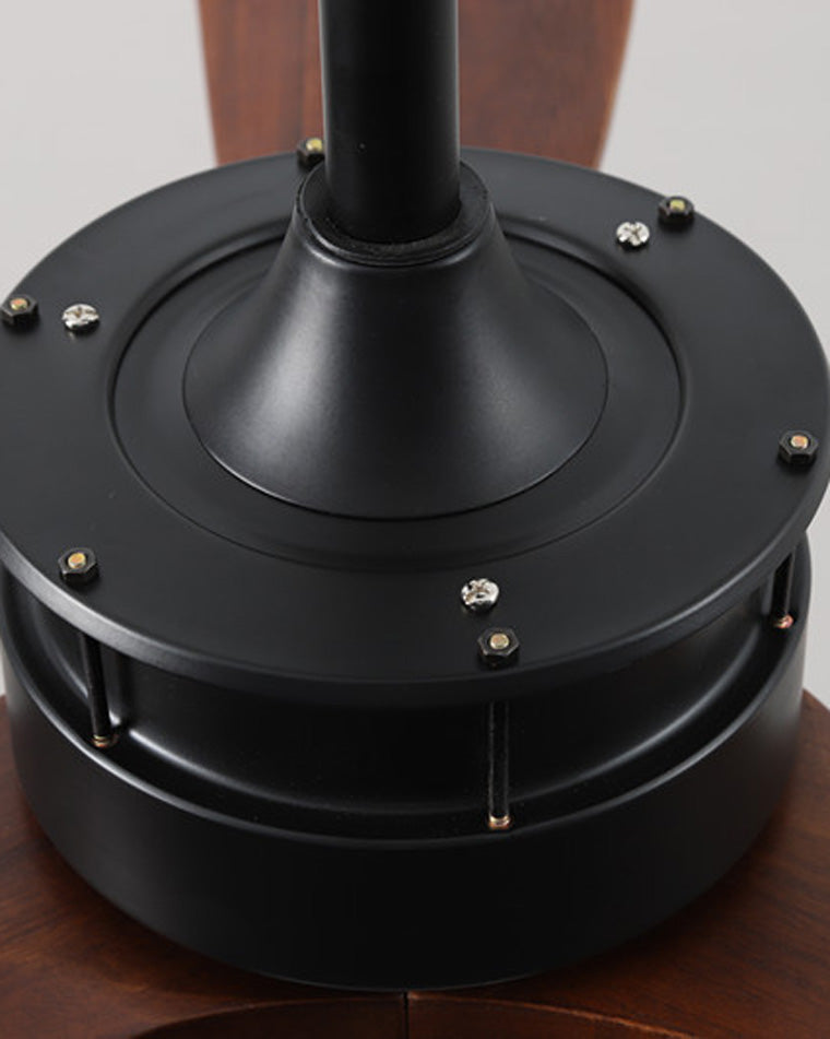 Ventilateur de plafond AeroNoir