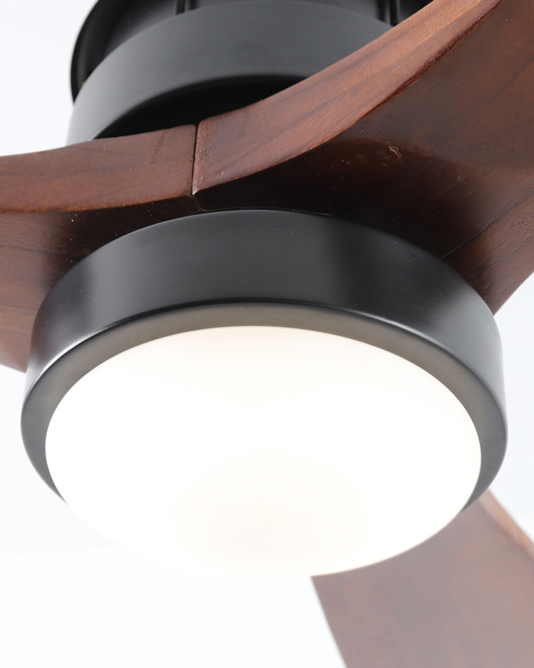 Ventilateur de plafond AeroNoir