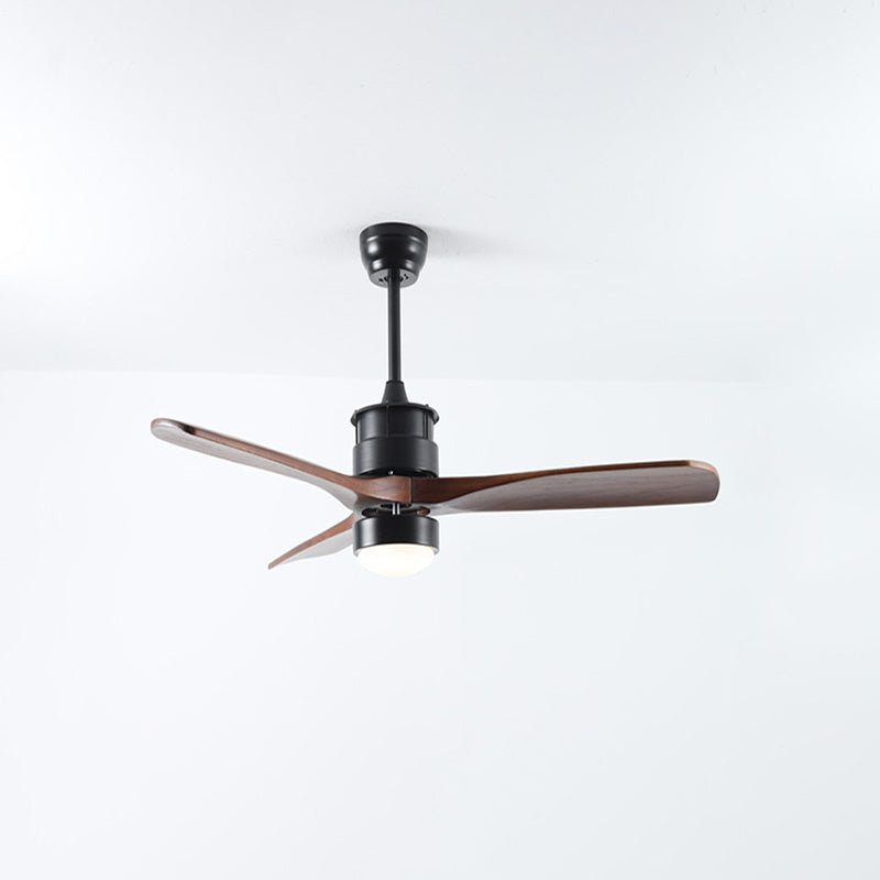 Ventilateur de plafond AeroNoir