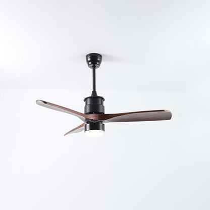 Ventilateur de plafond AeroNoir