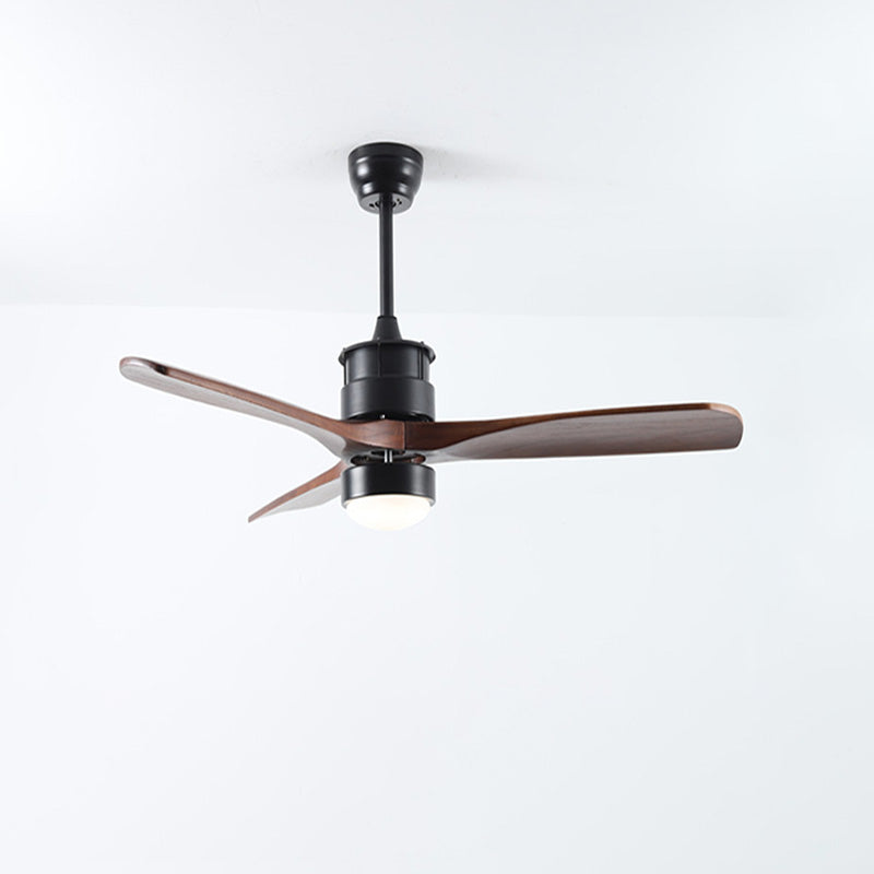 Ventilateur de plafond AeroNoir