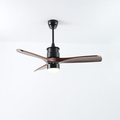 Ventilateur de plafond AeroNoir