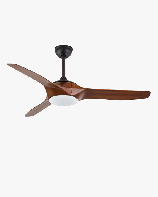 Ventilateur de Plafond Élancé Moderne