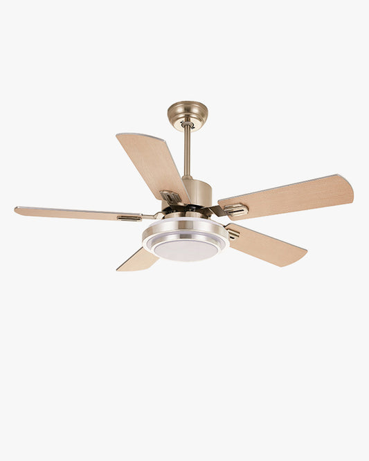 Ventilateur plafonnier en métal Brillinox