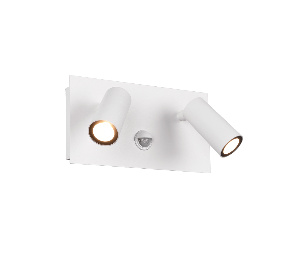 Applique Murale Exterieur Double Faisceau