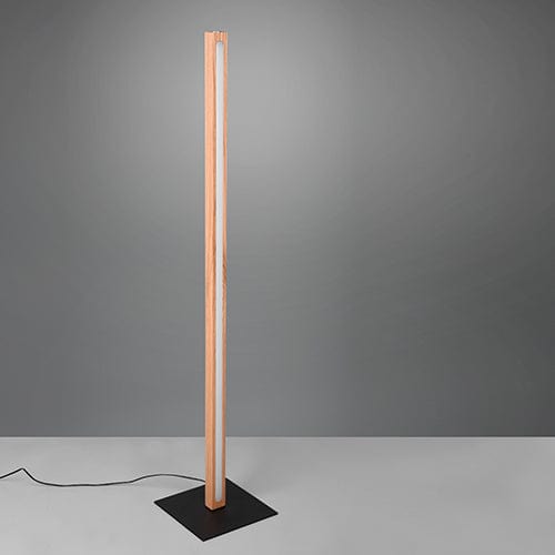 Lampadaire Intérieure