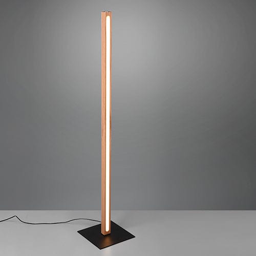 Lampadaire Intérieure