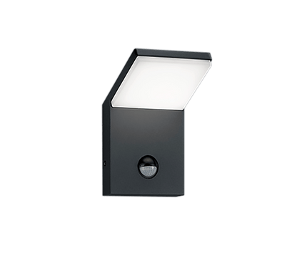 Lumiere Exterieur Detecteur