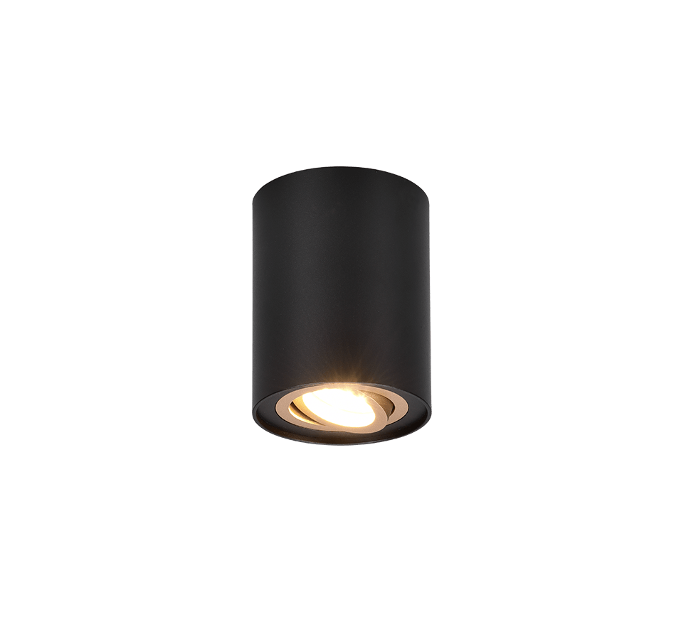 Plafonnier 1 Lampe