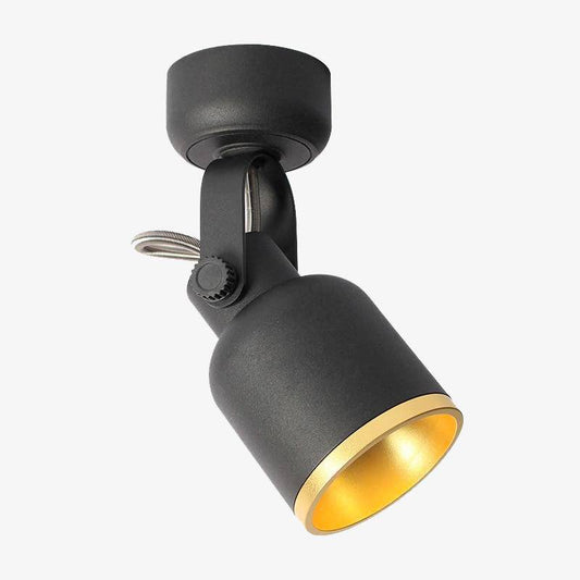 Plafonnier LED Design Moderne - Spot Orientable 60°-1