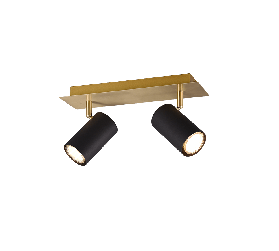 Plafonnier Deux Ampoules