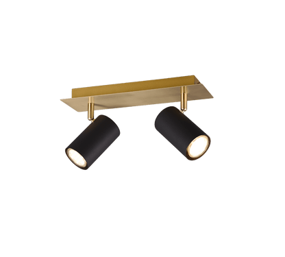Plafonnier Deux Ampoules