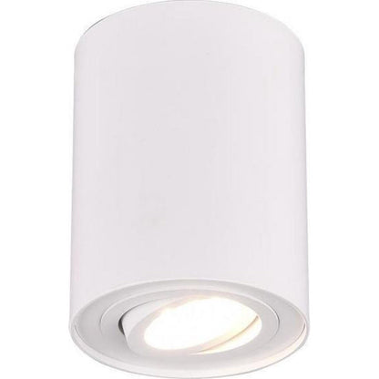 Plafonnier Spot Blanc