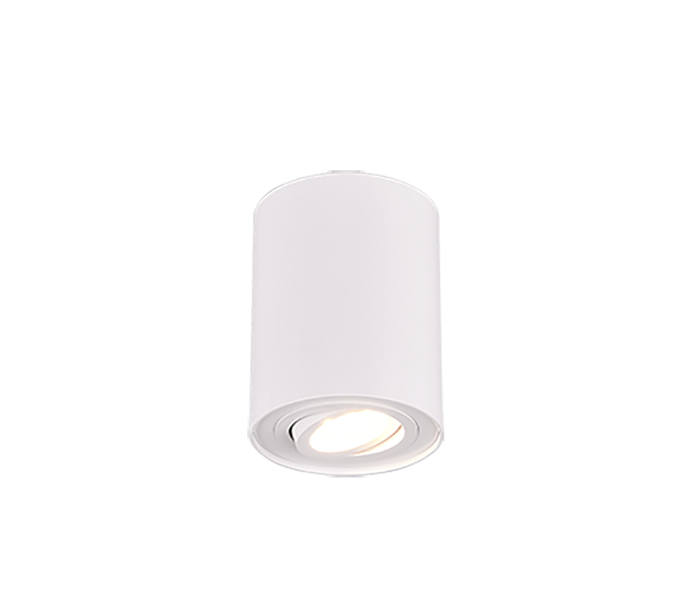 Plafonnier Spot Blanc