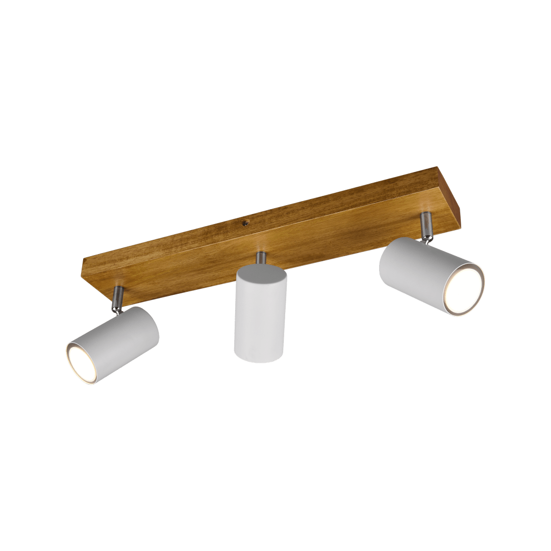 Rampe Spot Plafond