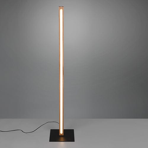 Lampadaire Intérieure