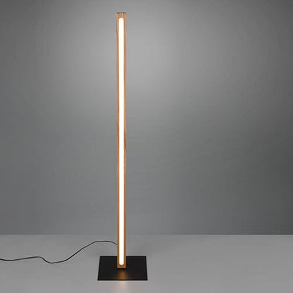 Lampadaire Intérieure