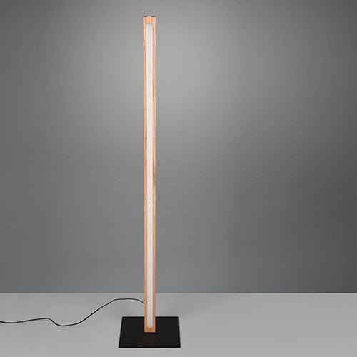 Lampadaire Intérieure
