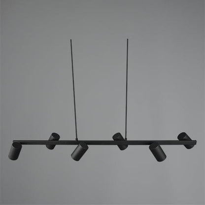 Suspension Spot Luminaire