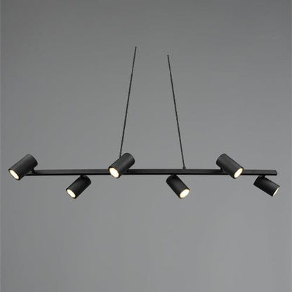 Suspension Spot Luminaire